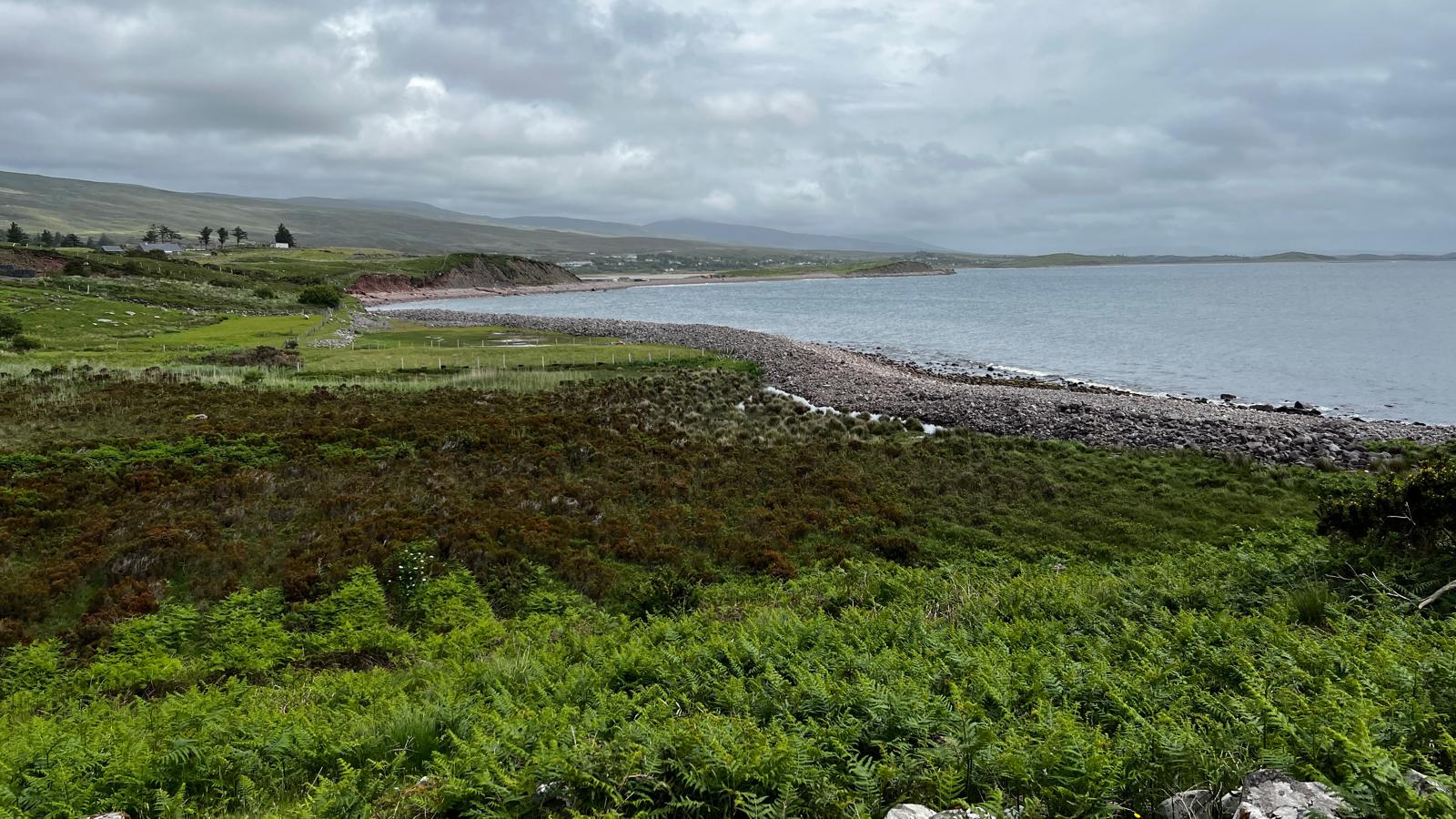 Photo from the Wild Atlantic Way road trip, 2026