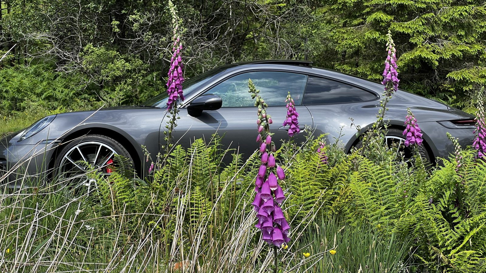 Photo from the Isle of Skye road trip, 2025