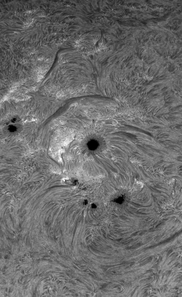 Sunspot group showing filaments, spicules and fibrils