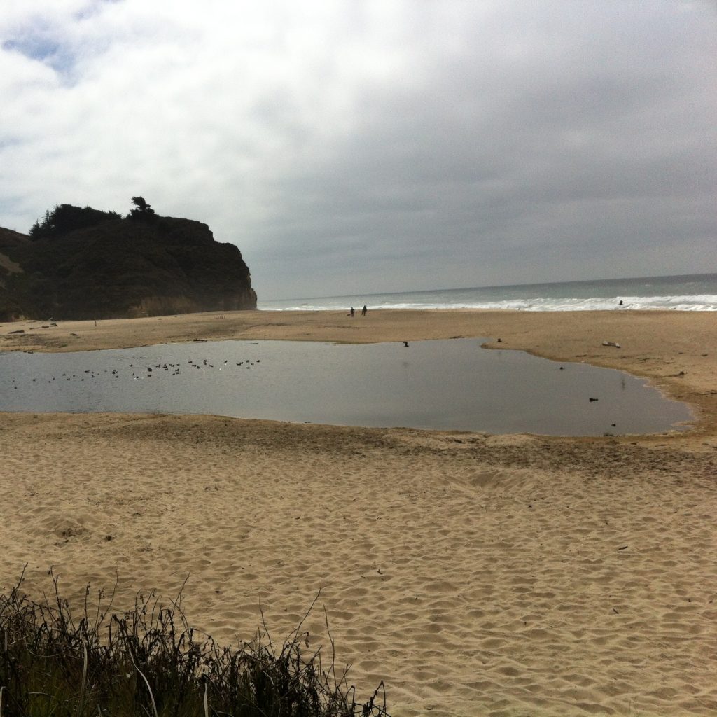 Photo from the Pacific Coast Highway drive, 2012