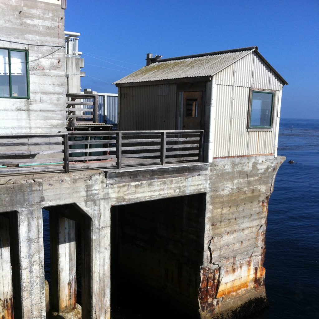 Photo from the Pacific Coast Highway drive, 2012