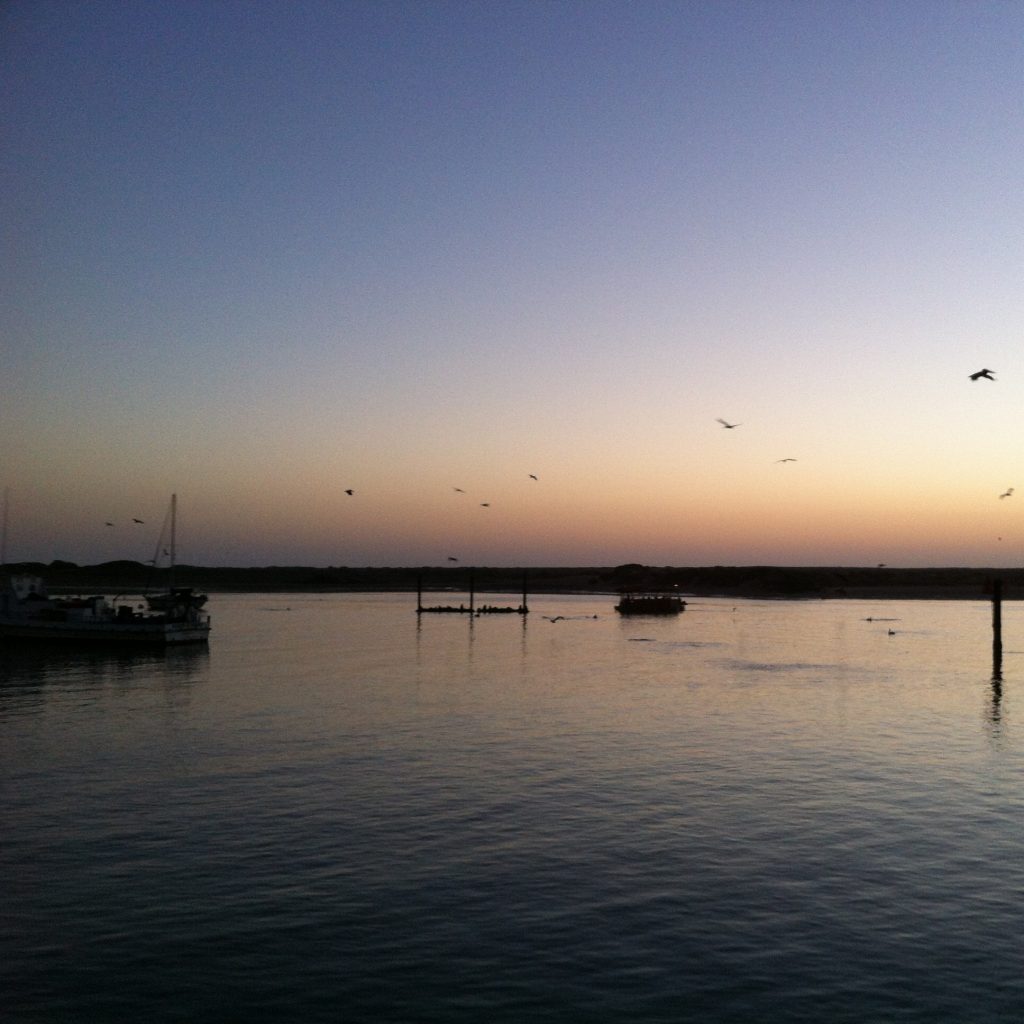 Photo from the Pacific Coast Highway drive, 2012