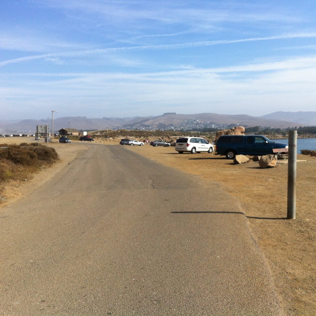 Photo from the Pacific Coast Highway drive, 2012