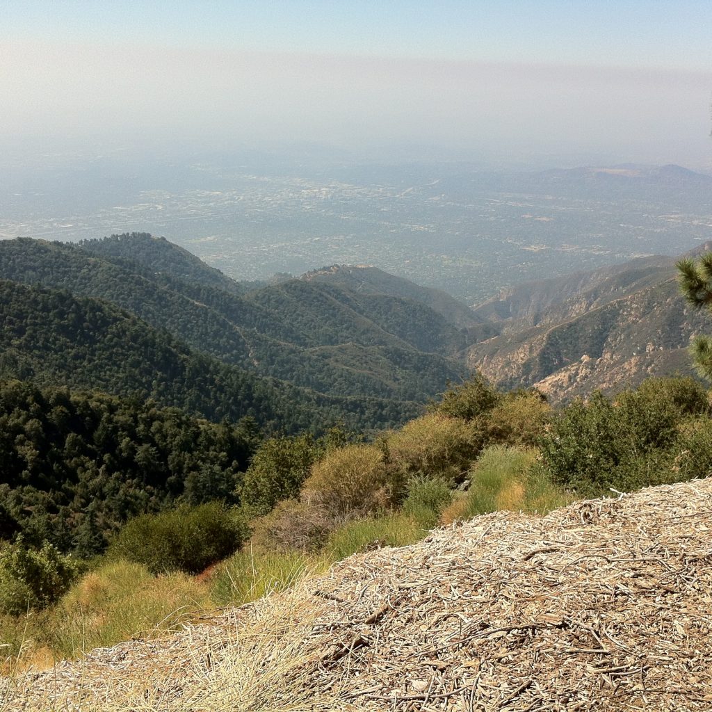 Photo from the Pacific Coast Highway drive, 2012