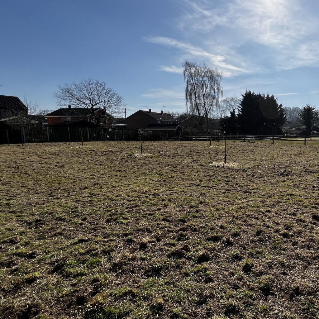 photo from the field, taken 2025