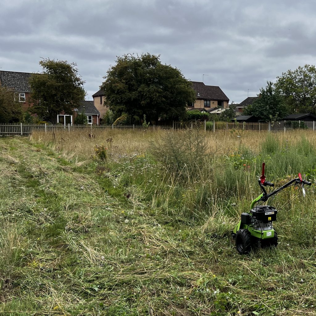 photo from the field, taken 2025