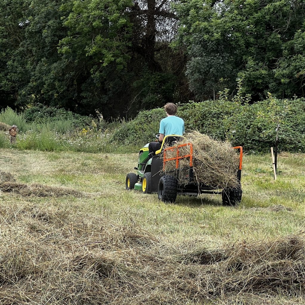 photo from the field, taken 2025