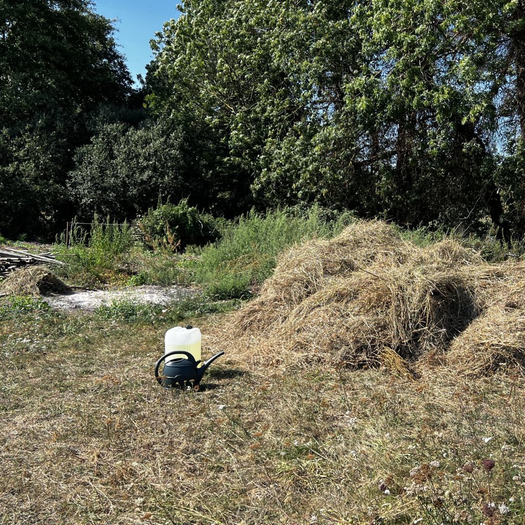 photo from the field, taken 2025