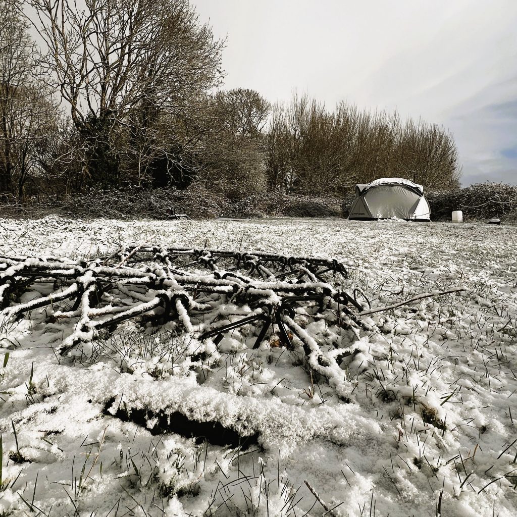 photo from the field, taken 2025