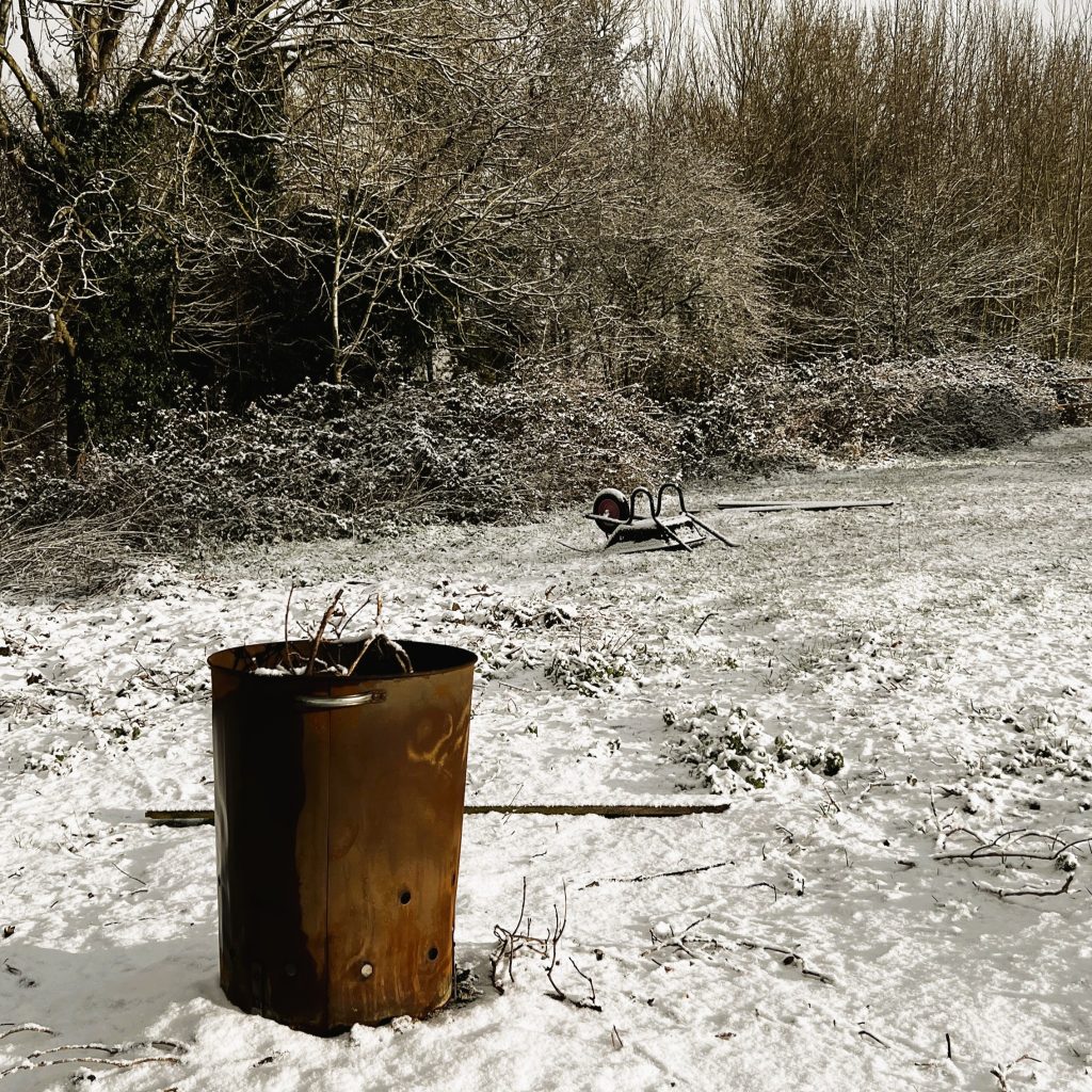 photo from the field, taken 2025